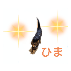azu_20210808190521