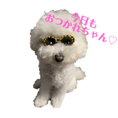 hikari_20210809101011