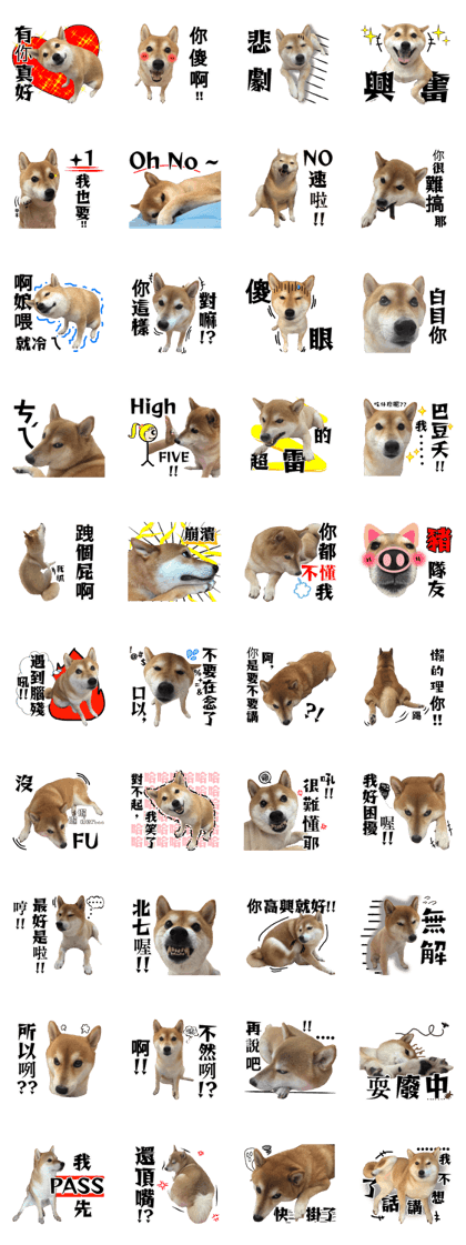 Shiba Sky III