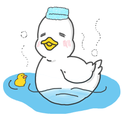 Aqua duck(daily)