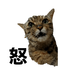 asuka_20210808210354