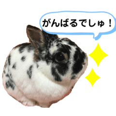 Housemate of Chiyochan_20210809112127