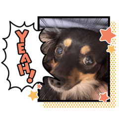 KAORI_20210809113112