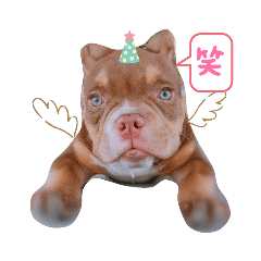 小惡霸波妞♥️