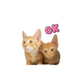 Chisa_20210808222426