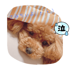 kaori_20210809120048