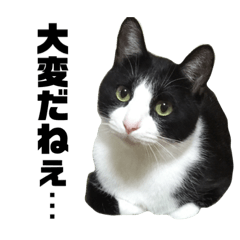 asuka_20210809114605