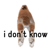 rabbit     marchu rabbit     marchu