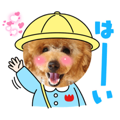 Aoi_20210808212334