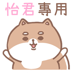 misty cat-Shiba Inu (ID-25)