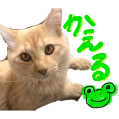 ARISA_20210808232859