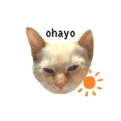 nanami_20210808224926