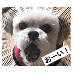 mimi_20210808215414