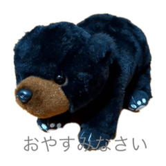 My lovely teddy online bear