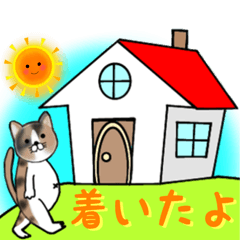 Cat cat cat cat cat. Cat cat cat cat cat