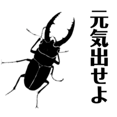 OhataYamako_Shadow puppets of insects