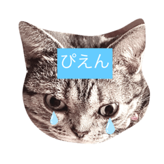 HANA_20210806231107