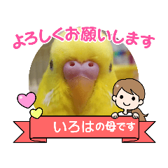 omochi_20210809172634