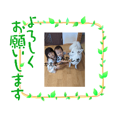 yayoi_20210809175718