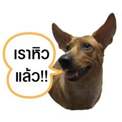 orange_20210809010618