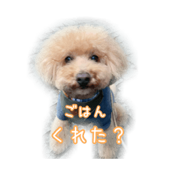 Yuka_20210809174835