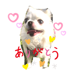 nico_202108091633291e