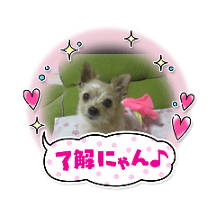 hana_20210809115433