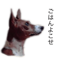 nozomi_20210809135019