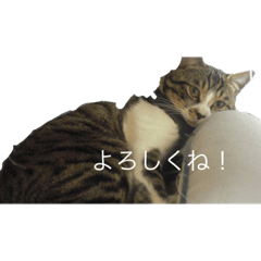 Mizuki_20210808231443