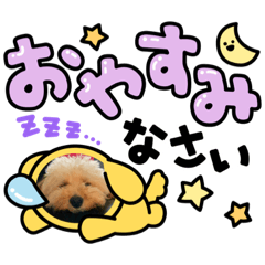 tonton_20210809155935