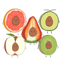 FRUITS AVOCADO