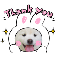 shiroshiba hanachan