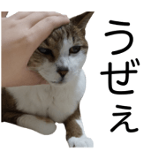 OKOME_20210809221206