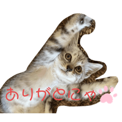 MIKI_20210809223001