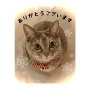 muginti_20210810002814