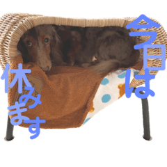 Yukari_20210810003209