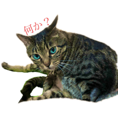 miki_20210809180101