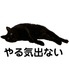 my house cat's stamp