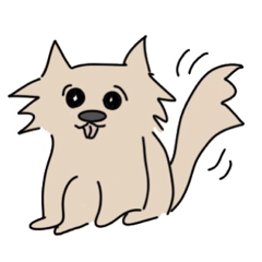 Hetauma chihuahua