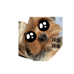 Sunny_20210809160947