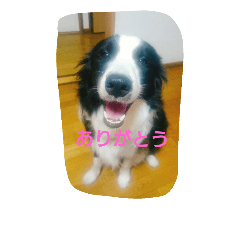eight to yukai na nakamatachi