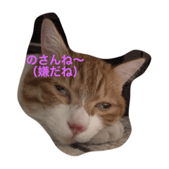 wagahai is a cat.Kumamoto valve