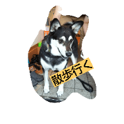 siba''mix hanachan