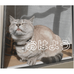 Yuka_20210810114912