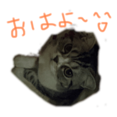 saori_20210807153531