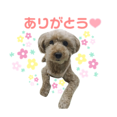 くうちゃん〜日常で使えるスタンプ〜