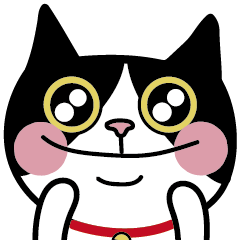 tuxedo cat cute