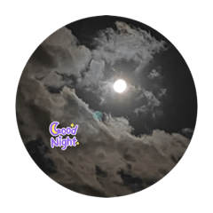 cocoa_20210810164545