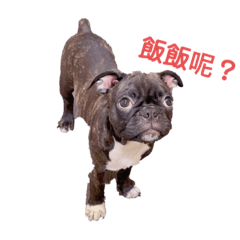 熊熊的無憂無慮日常