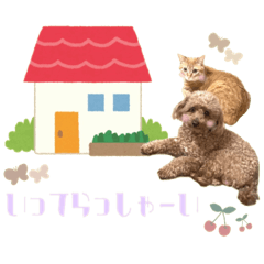 ・マロン&ココ・